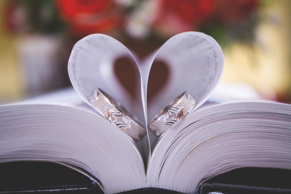 Book Bible