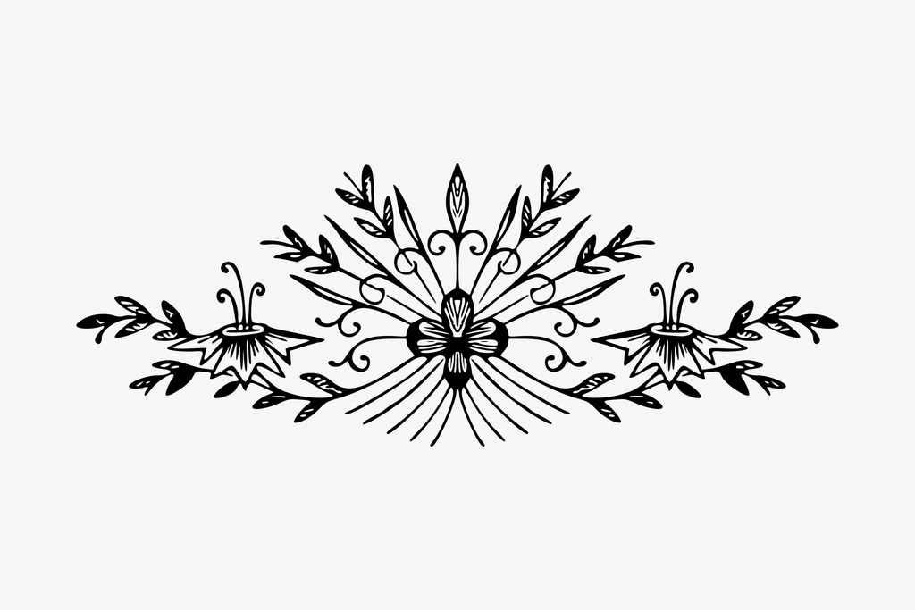 Botanical ornament clipart, drawing illustration