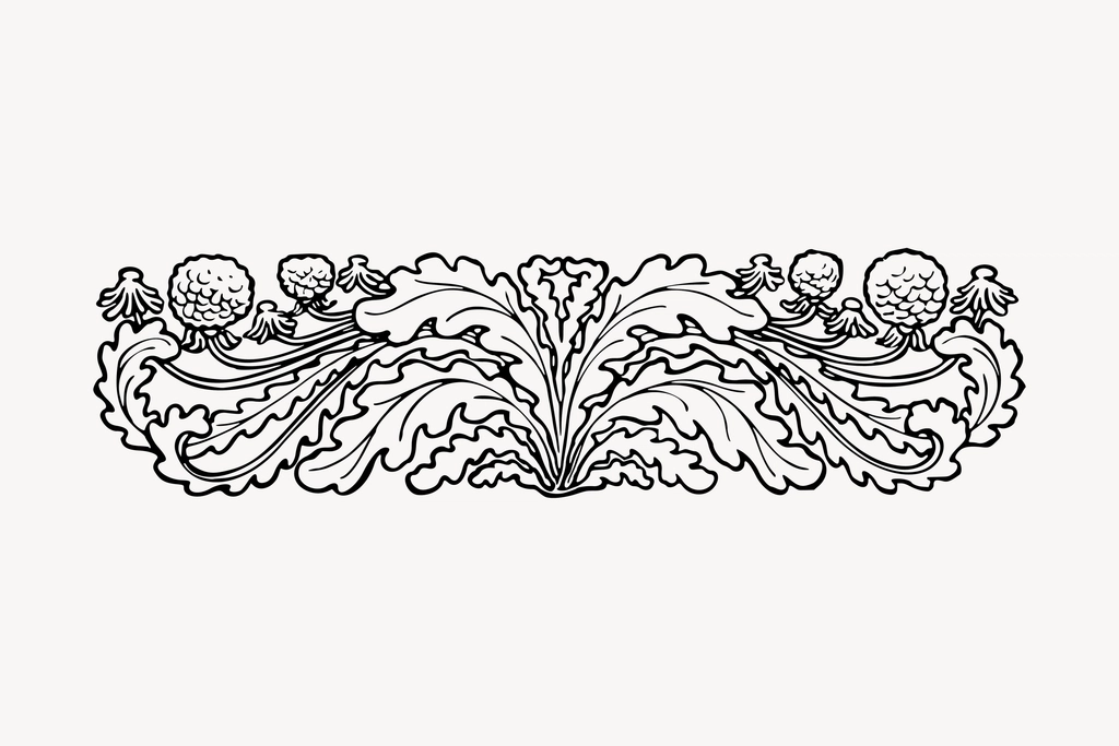 Botanical ornament clipart, drawing illustration