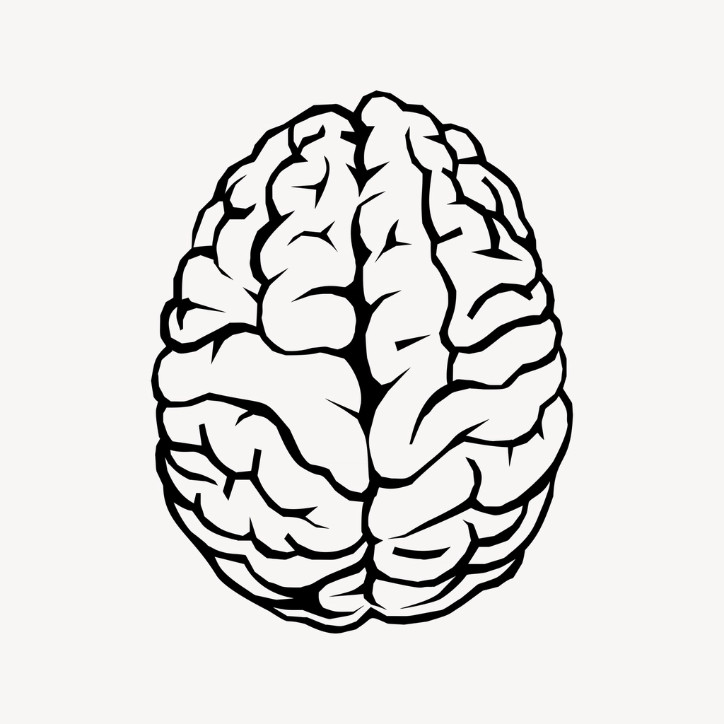Brain clipart, drawing illustration psd