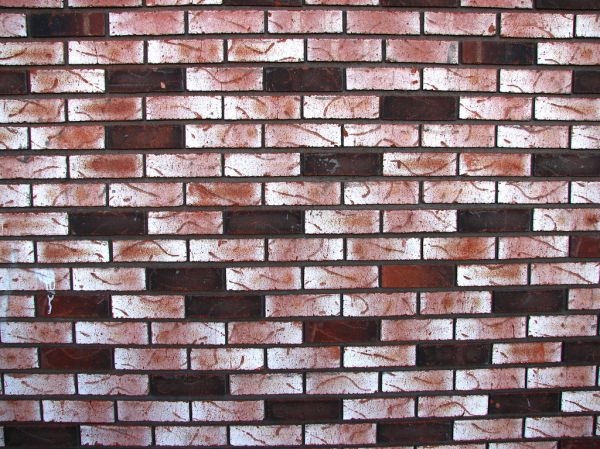 brick wall 6
