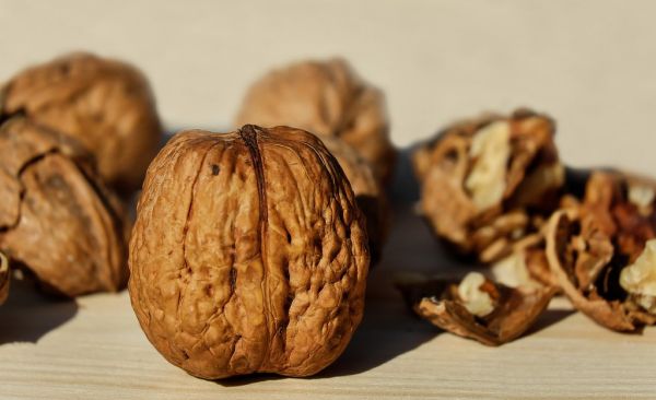 Broken walnuts