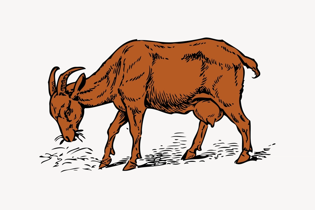 Brown goat clipart, drawing illustration