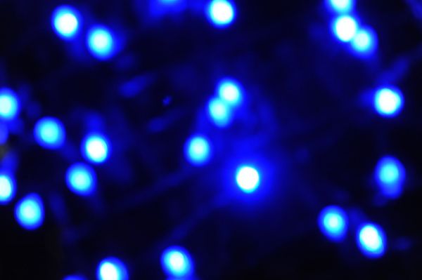 Bumble Bee - Memphis Minnie, blues, blue lights bare Christmas tree, Seattle, Washington, USA