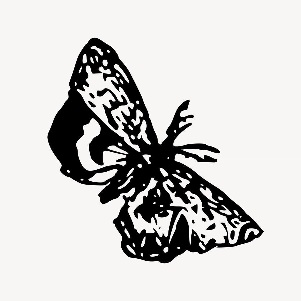 Butterfly clipart, drawing illustration vector