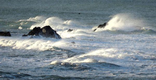 CA NORTH COAST ( 1-4-2017) howard landing, westport-union state beach, mendocino co, ca ,WATERCOLOR (2)