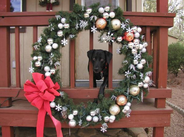 Cadu's Holiday Greeting