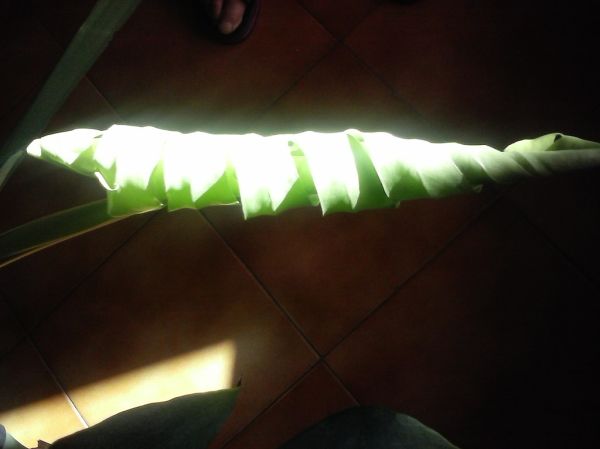 CAM04281