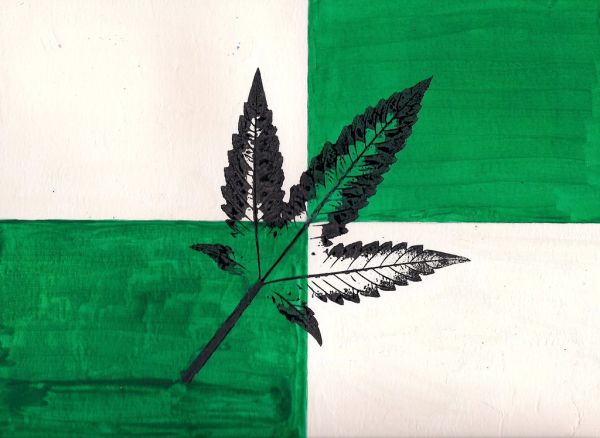 Cannabis Freedom Flag - 4-20-2015