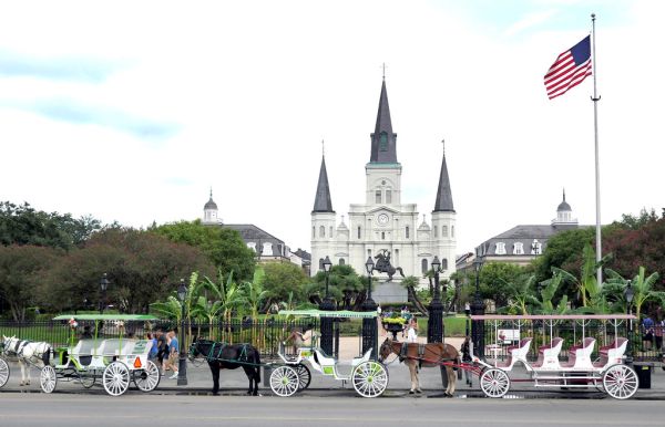 Carriages Jackson Sq New Orleans.