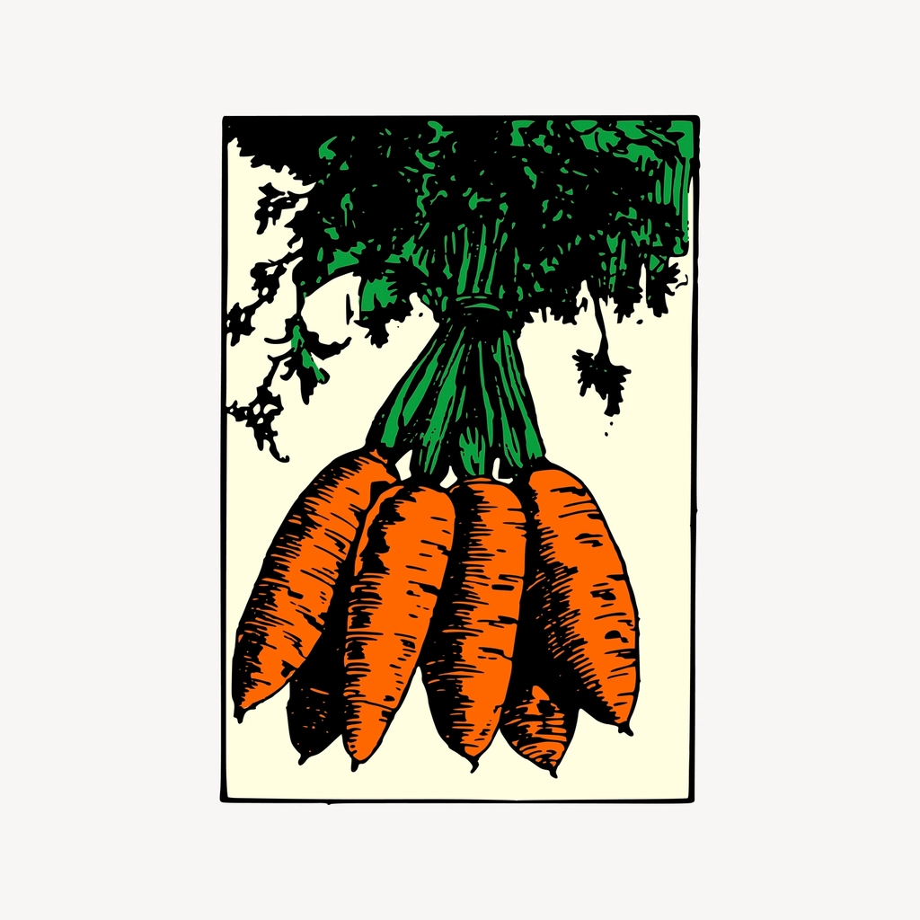 Carrot clipart, drawing illustration vector