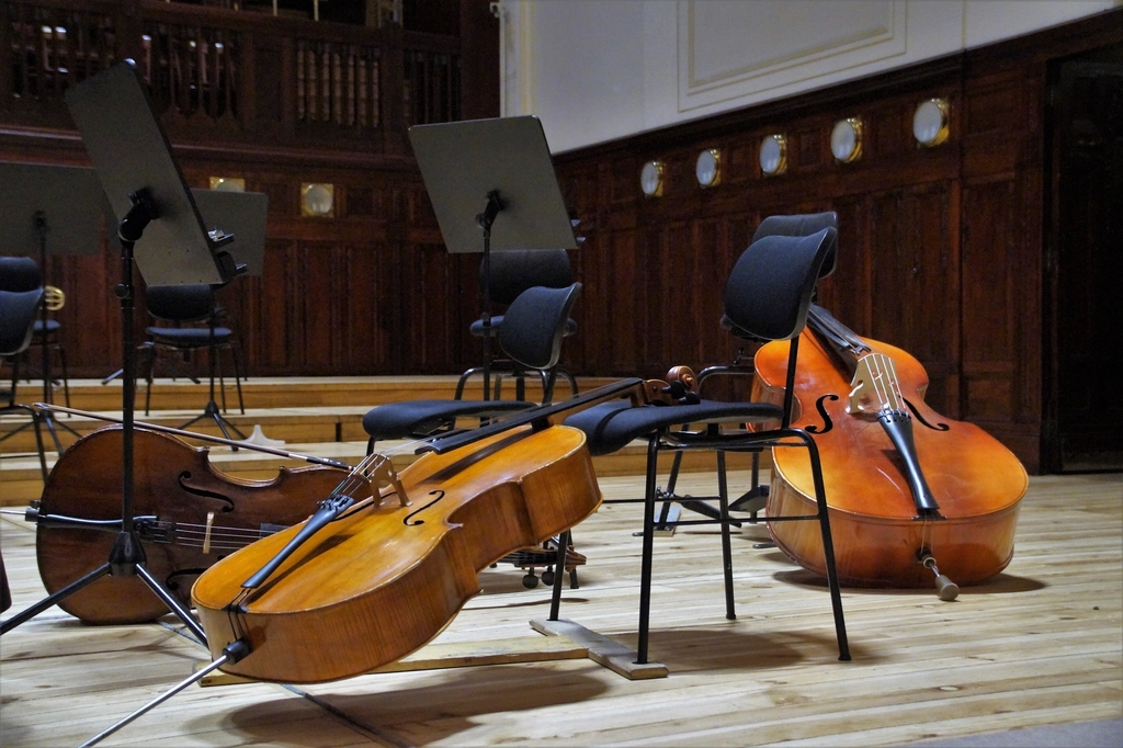 Cello, musical instrument