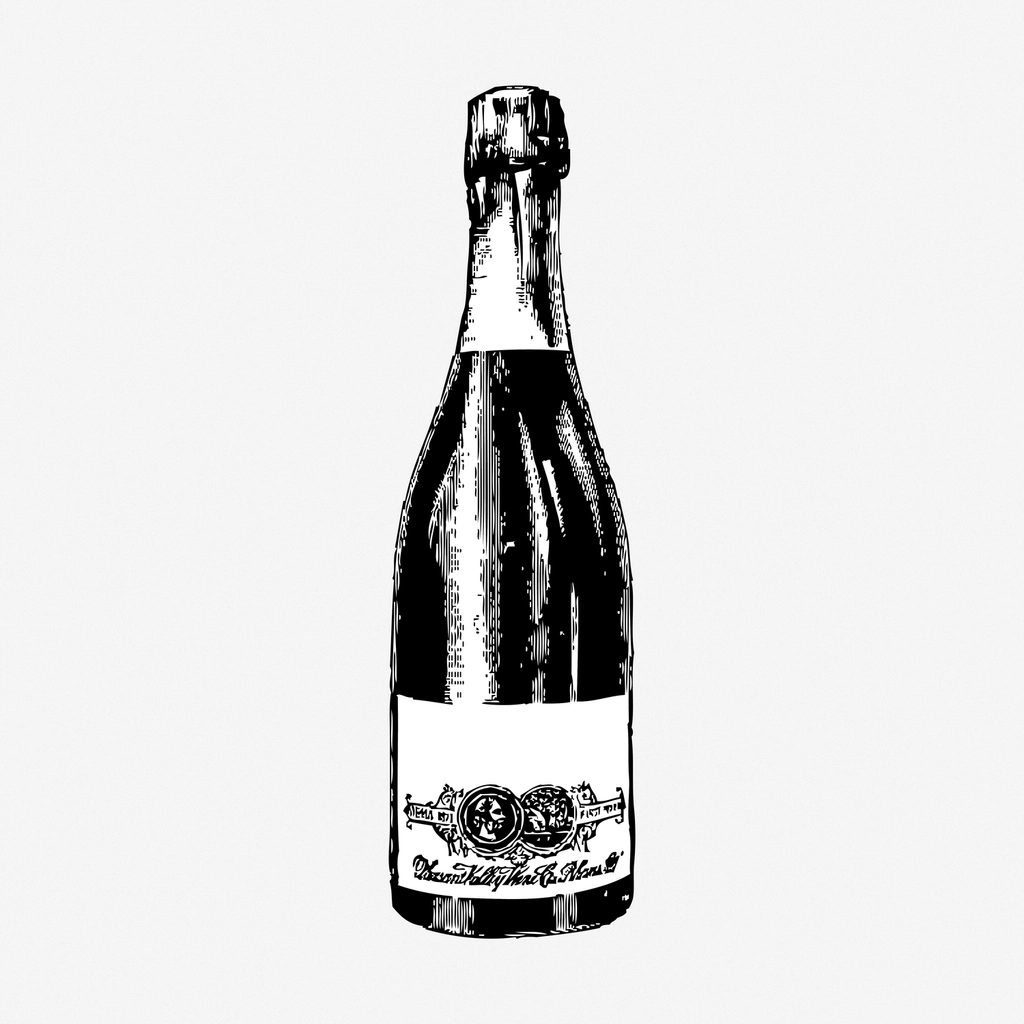 Champagne bottle hand drawn illustration