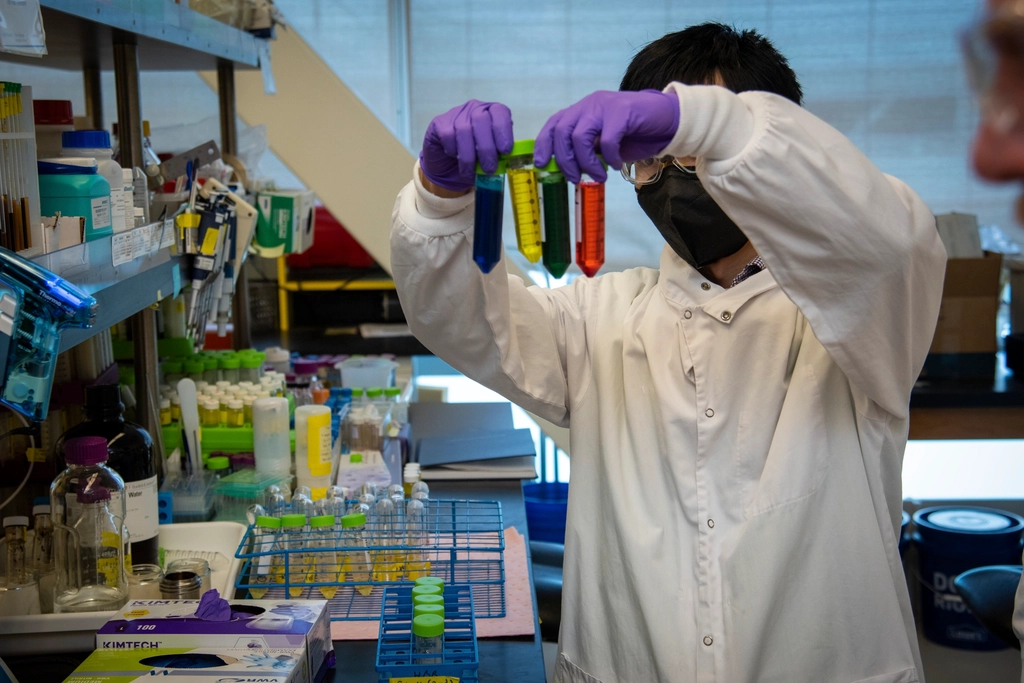 Chang Dou, Process Analytical Chemist