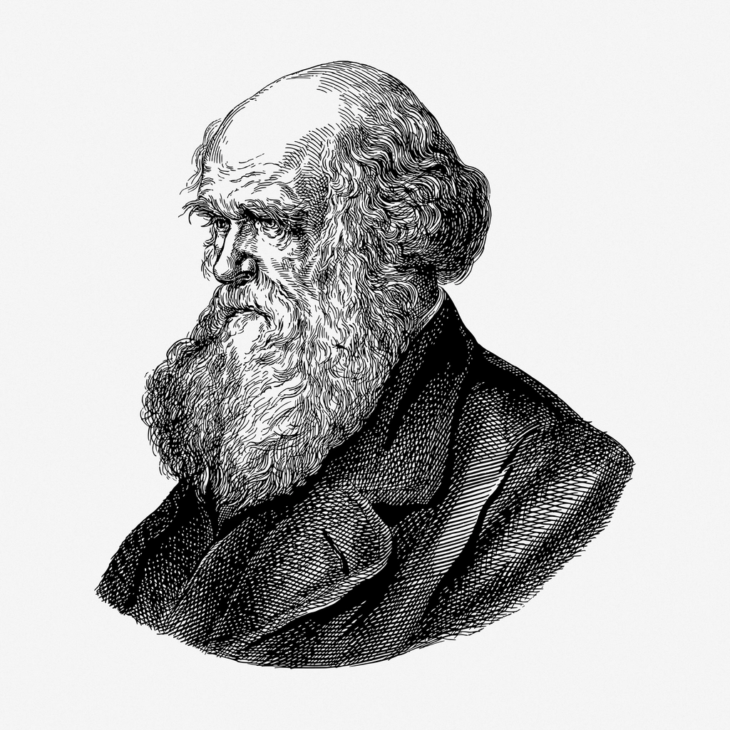 Charles Darwin hand drawn illustration