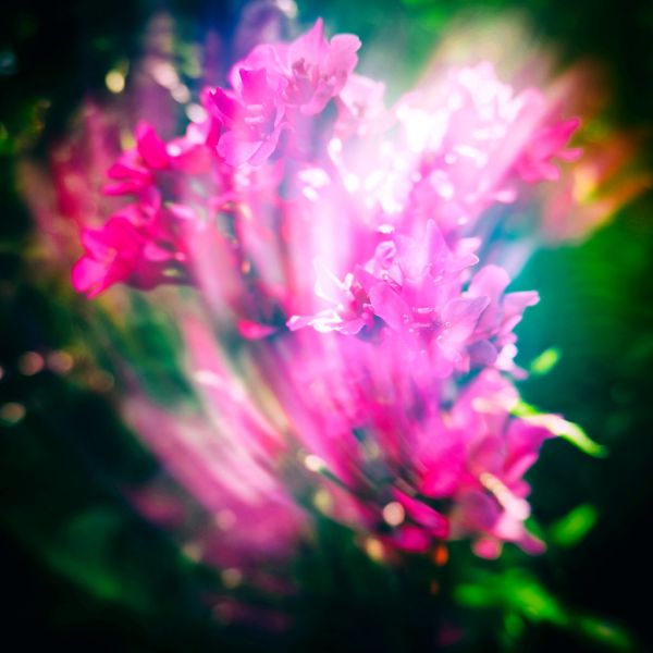 Cheerful countenance