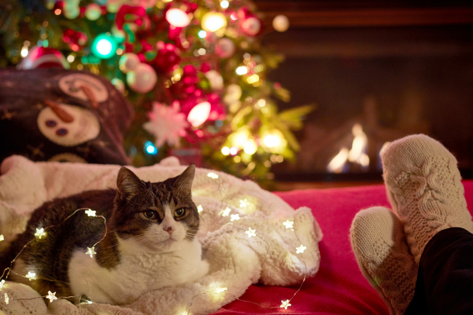 Christmas Background