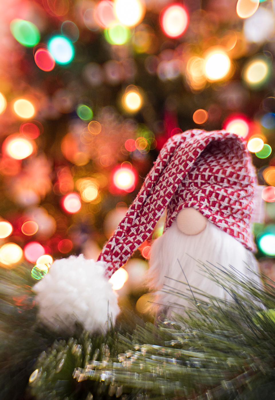 Christmas Gnome