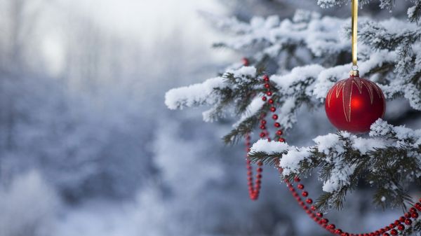 Christmas-holiday