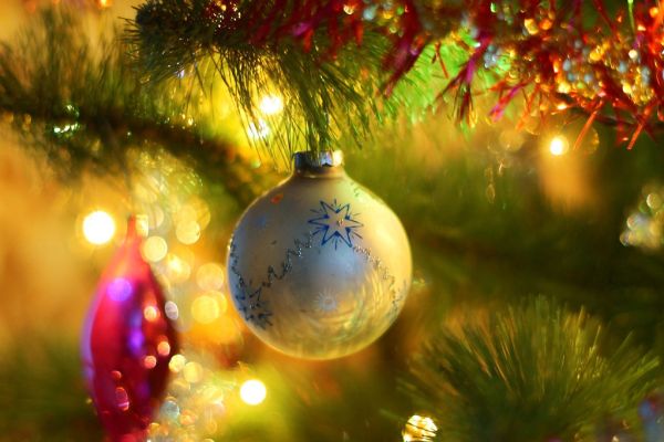 christmas-tree-1812689