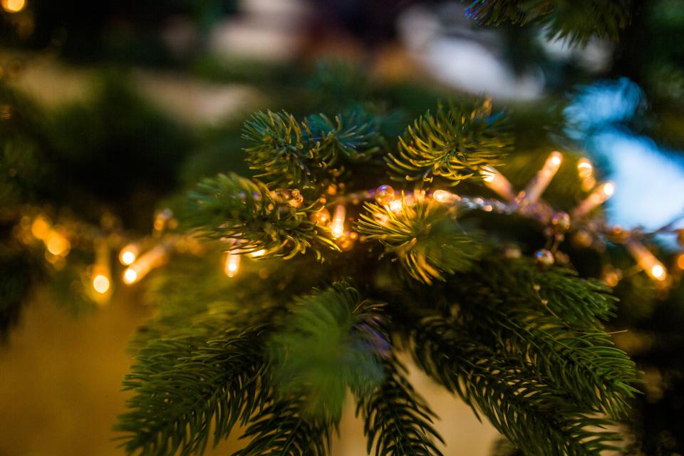 Christmas Tree
