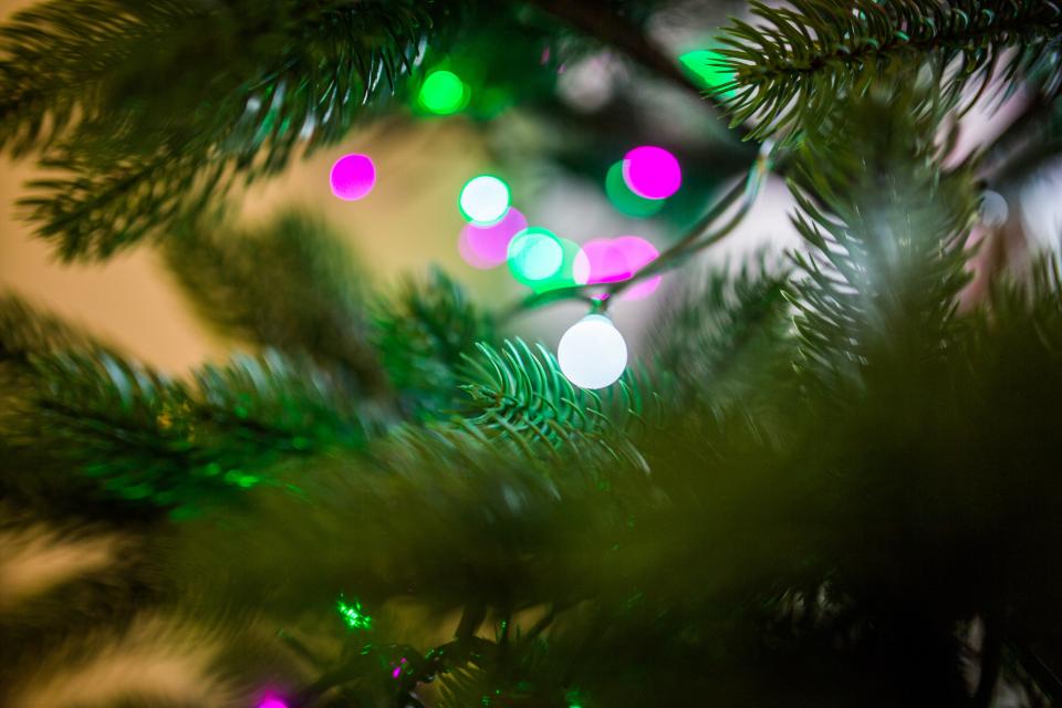 Christmas Tree