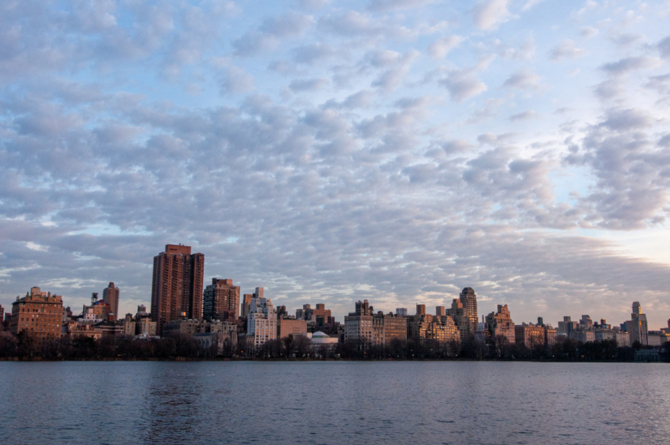 City Skyline