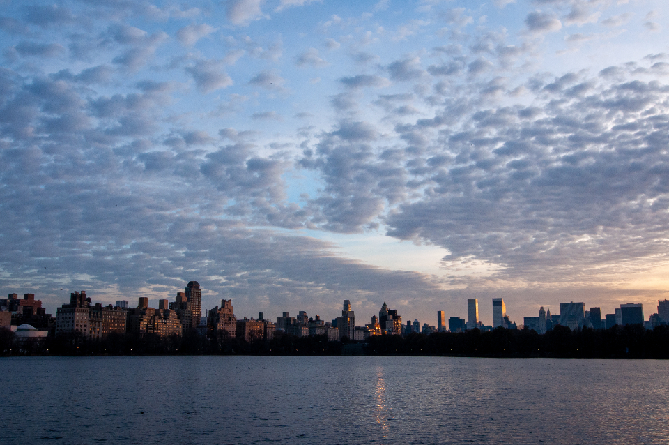 City Skyline