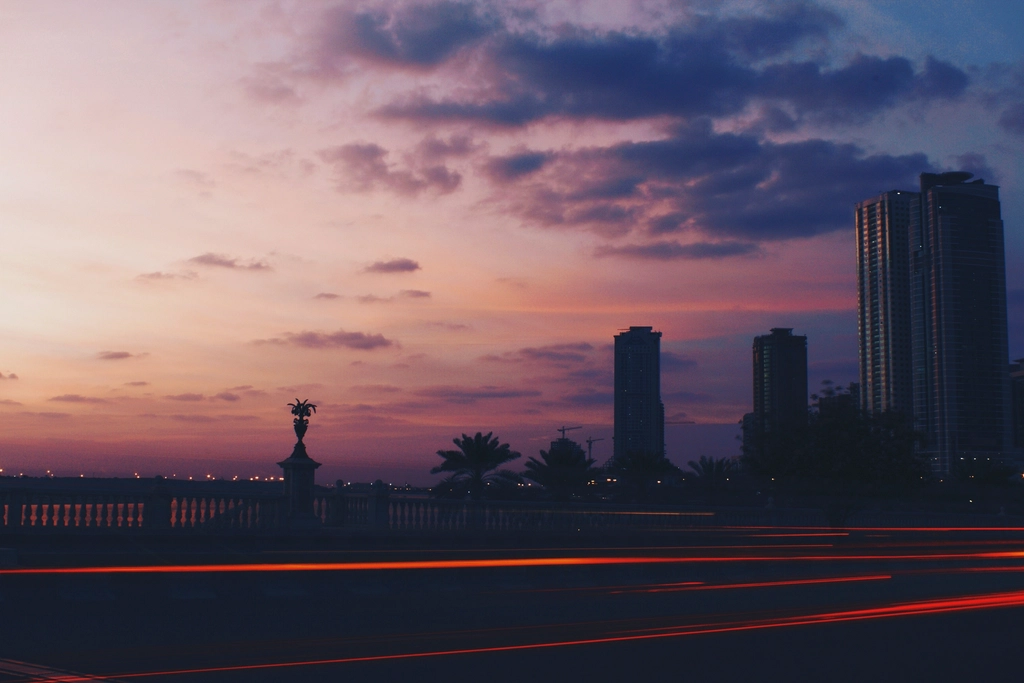 city skyline, plants, railing pink