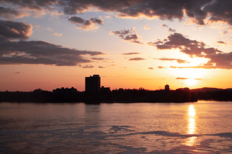 City Skyline