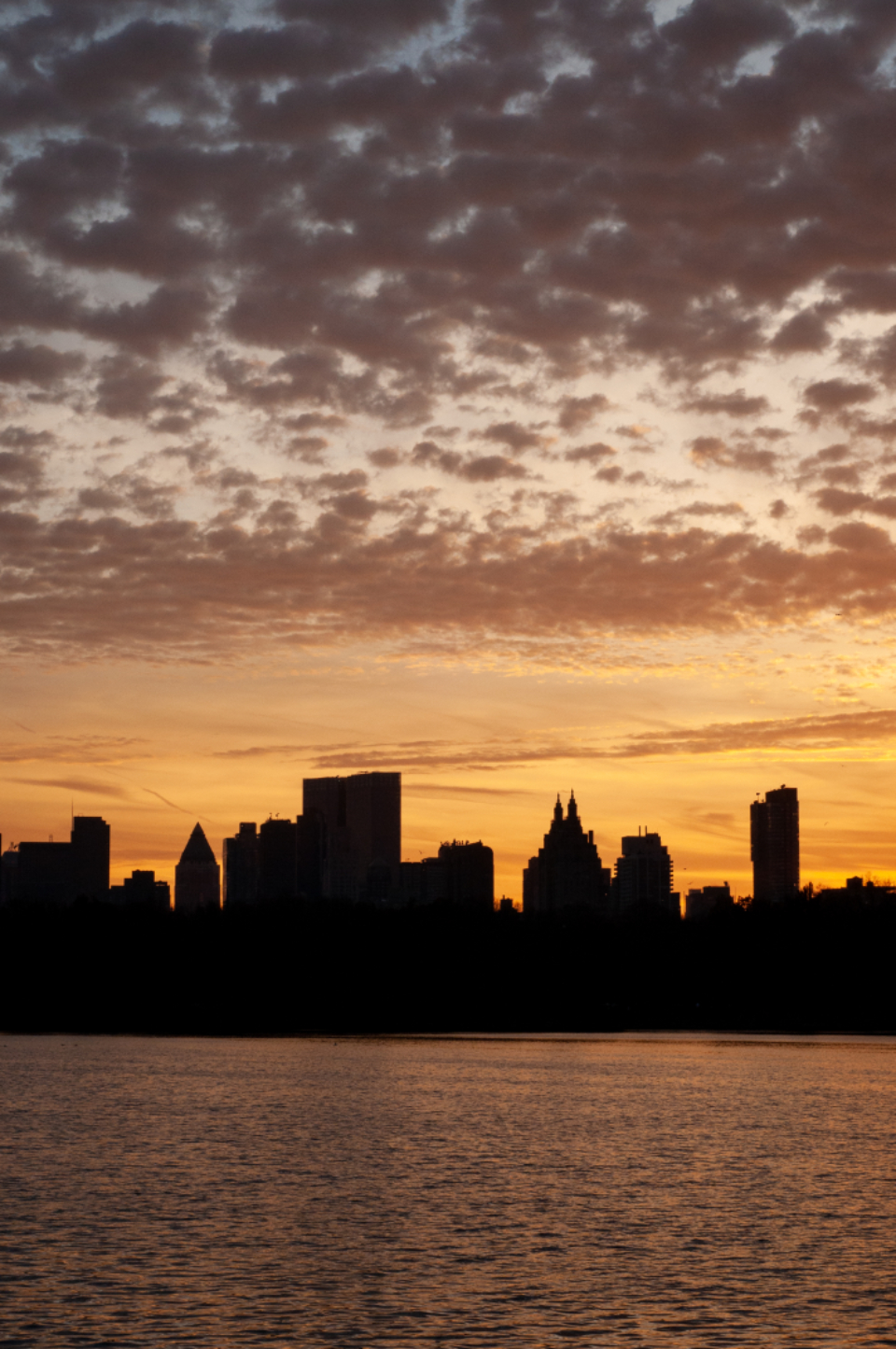 City Skyline