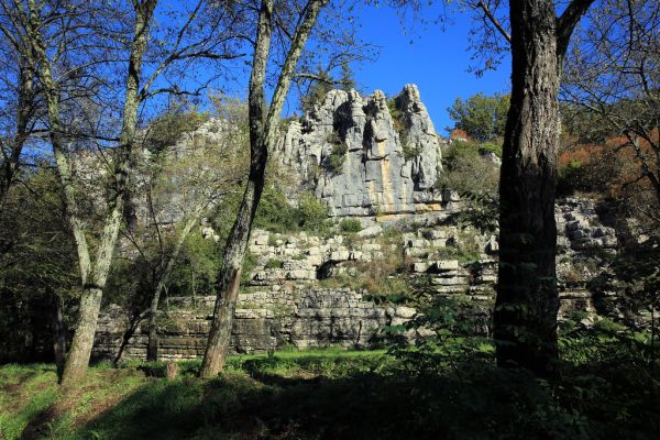 Clairière de la Turlure