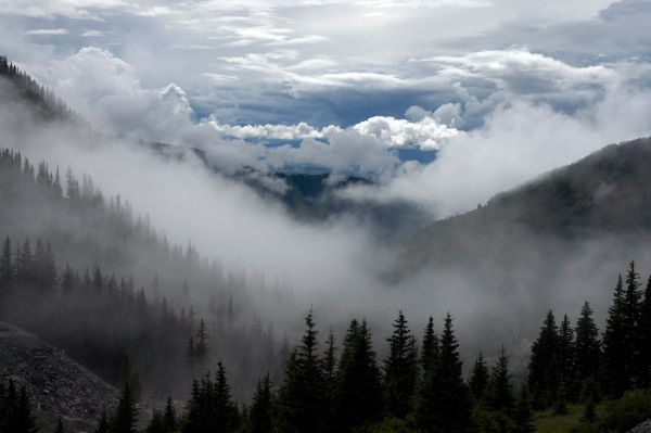 clouds-cloudy-forest-trees