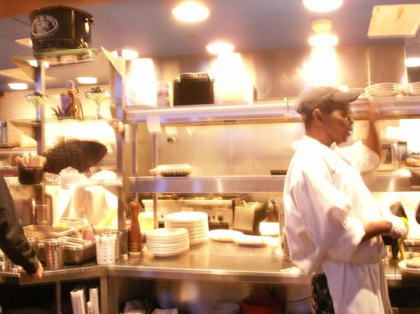Cocina