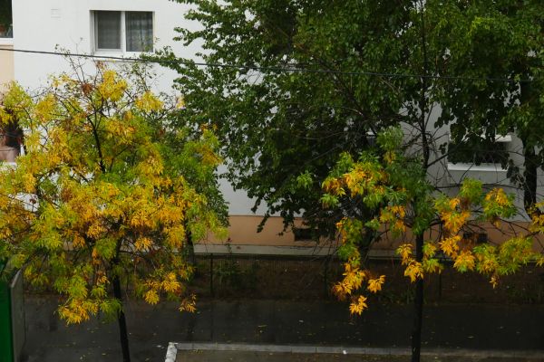 colors-autumn-fall-2017_1007_145901_49791109363_o