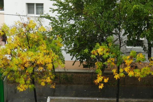 colors-autumn-fall-2017_1007_1459011_49791109408_o
