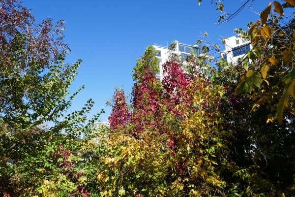 colors-autumn-fall-2017_1009_113803_49791108098_o