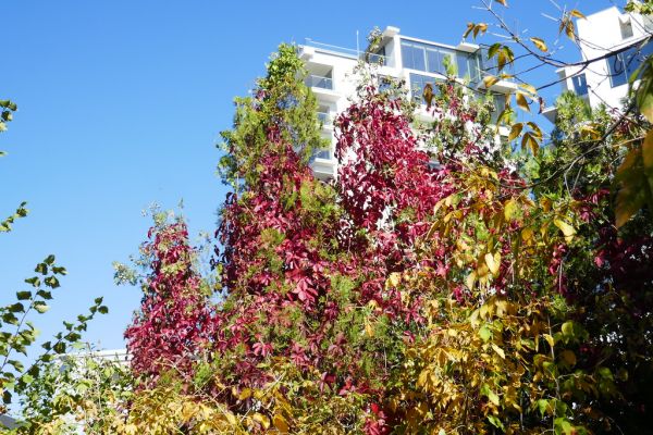 colors-autumn-fall-2017_1009_113817_49791107973_o