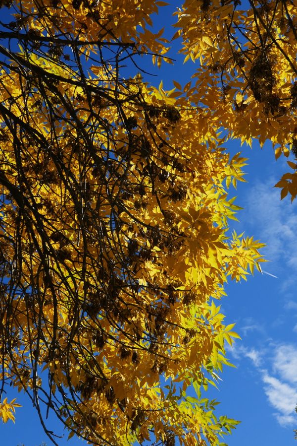 colors-autumn-fall-2017_1009_114712_49791107418_o