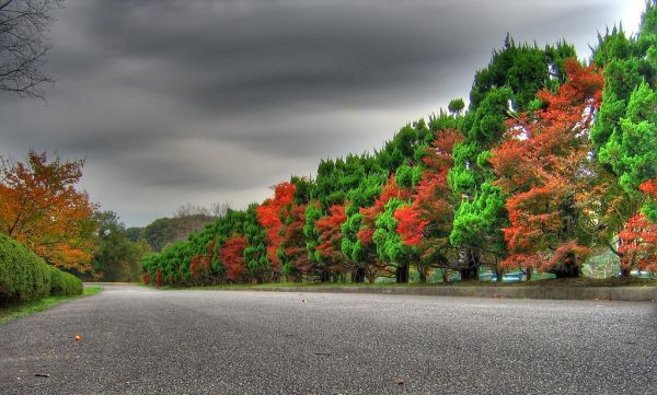 Cool and Awesome Nature in HD