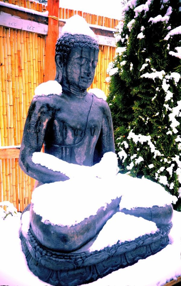 Covered in snow, natural ushnisha, a concrete statue of Amitabha Buddha, the brave lion among men, meditating, bamboo fence, tree, drips of water, lotus base, A Garden for the Buddha, Seattle, Washing...