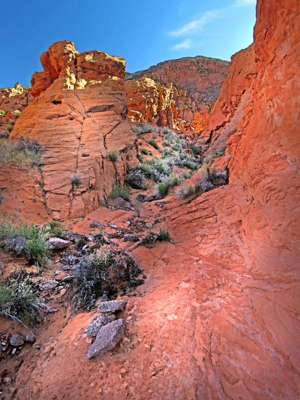 COVID 19 ESCAPE TRIP (4-1-2020) am hike from south campsite, gold buttes national monument, nevada -27 PHOTOSHOP WATERCOLOR