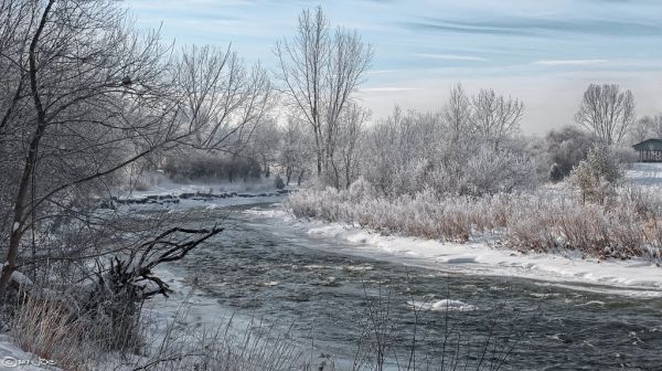 Credit River, Mississauga