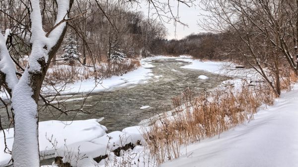 Credit River, Mississauga