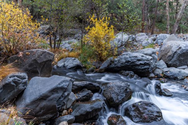 Creek crossing for A.B. Young Trail