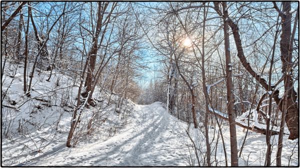 Culham Trail, Mississauga