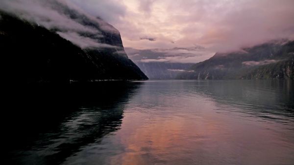 Dawn. Milford Sound NZ