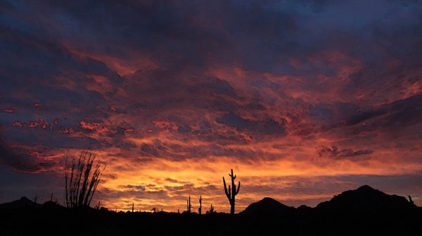 DESERT SUNSET (1-9-2017) casa grande, pinal co, az -02 watercolor
