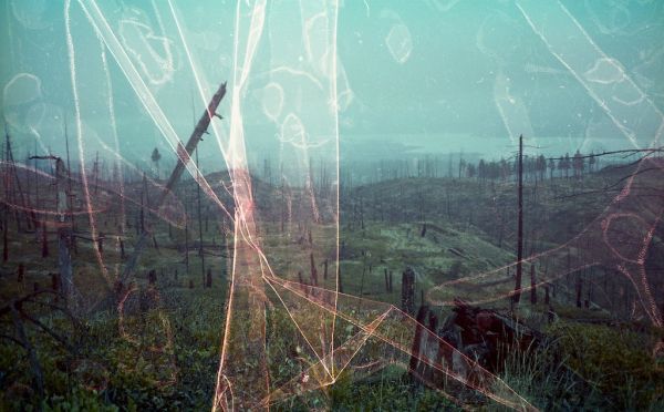 Desolate and Afflicted