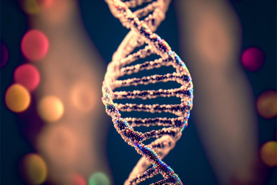 Dna Helix